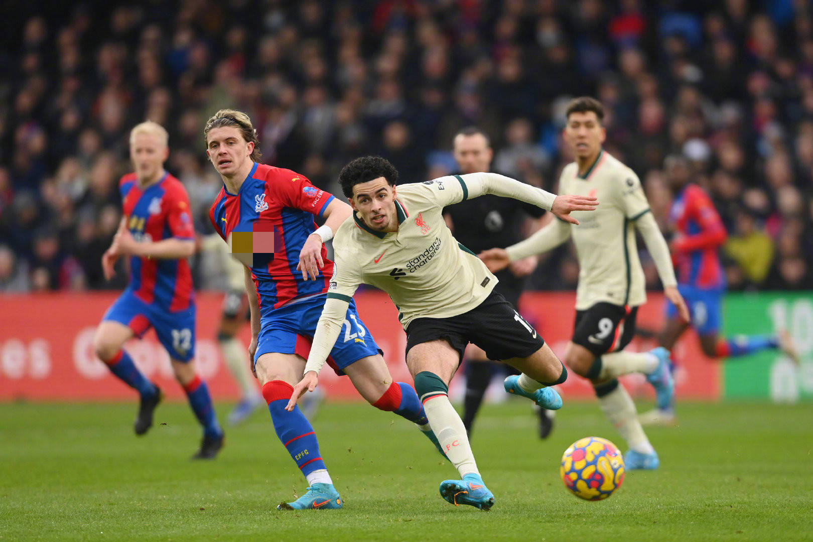 配置而选择 配置而选择